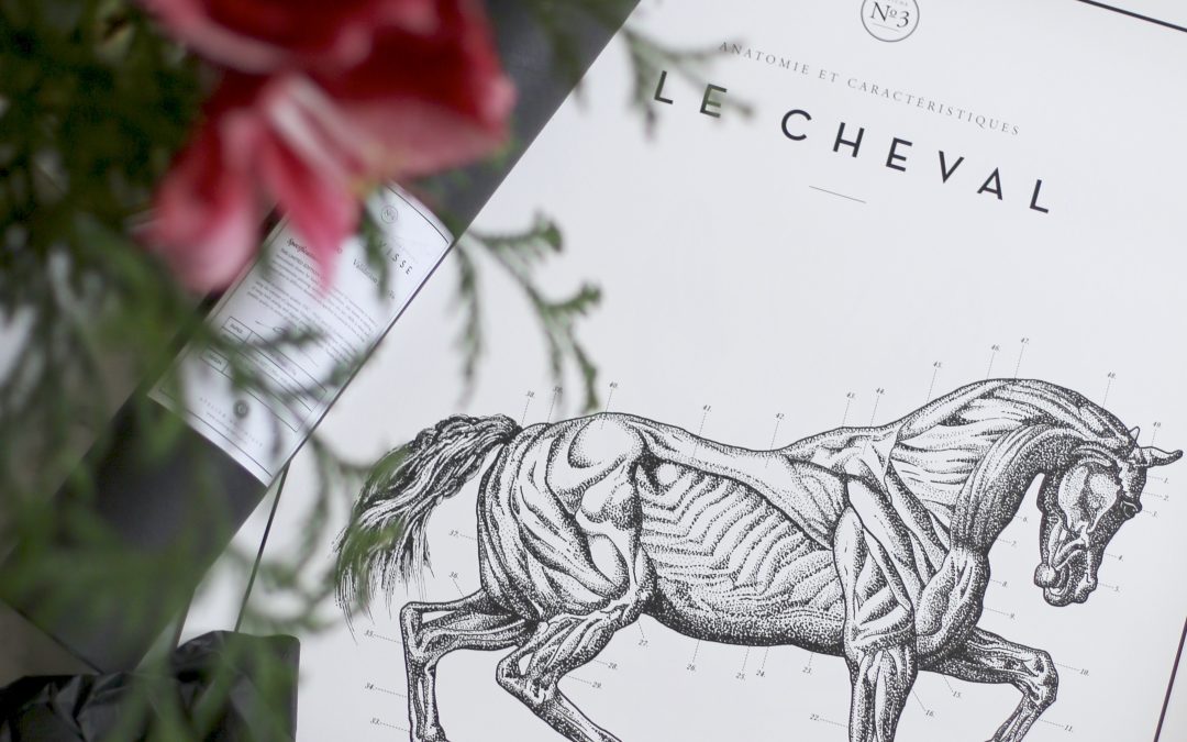 Le Cheval N°3
