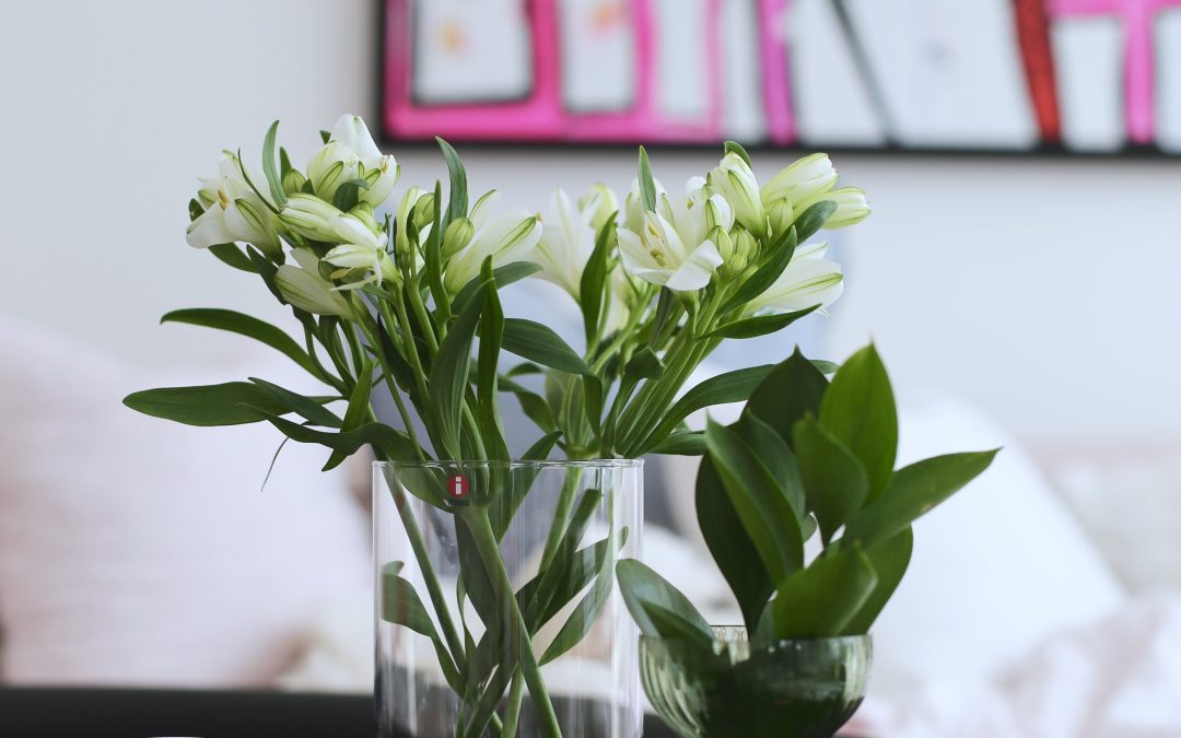 Wednesday Still Life