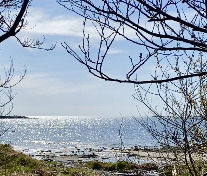Min bästa tur längs med havet …