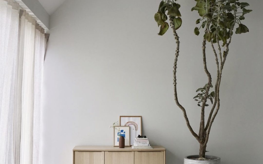 Skagerak lanserar Jut Cabinet