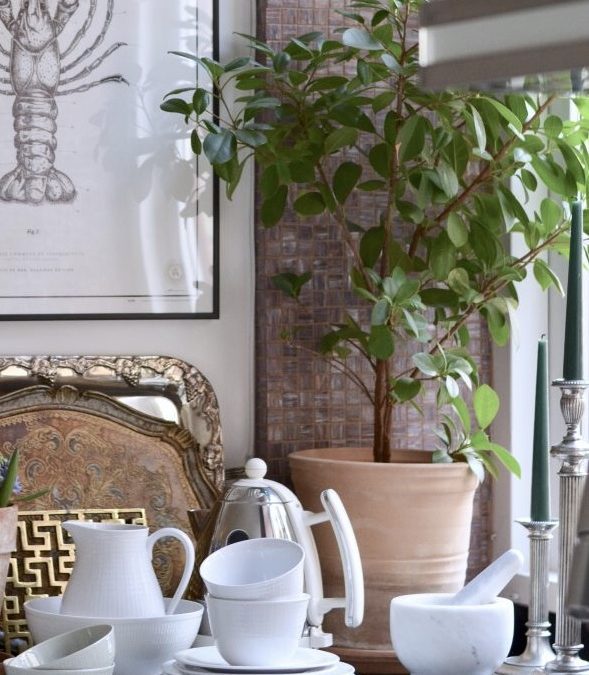 Swedish Grace med 25% rabatt